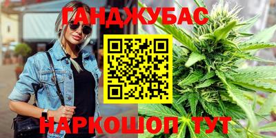 mdpv Гатчина