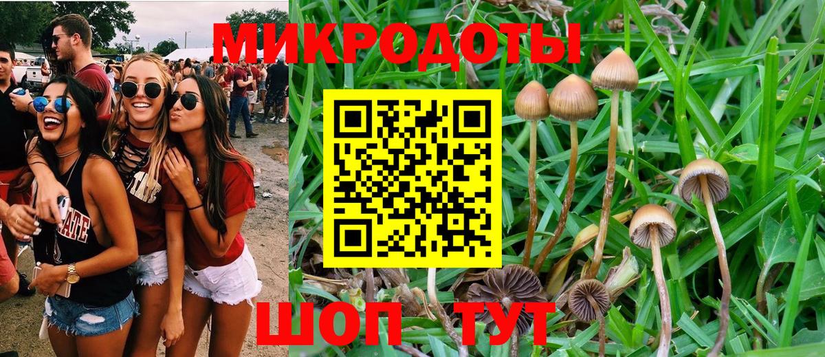 Галлюциногенные грибы Magic Shrooms  Вход с VPN  Мценск 